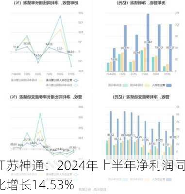 江苏神通：2024年上半年净利润同比增长14.53%