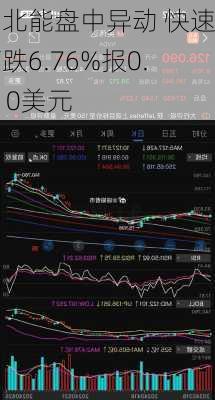 中北能盘中异动 快速下跌6.76%报0.310美元