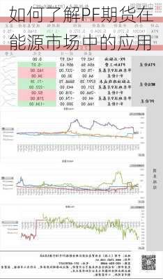 如何了解PF期货在能源市场中的应用