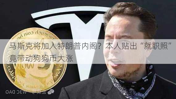 马斯克将加入特朗普内阁？本人贴出“就职照” 竟带动狗狗币大涨