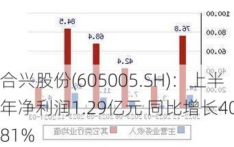 合兴股份(605005.SH)：上半年净利润1.29亿元 同比增长40.81%