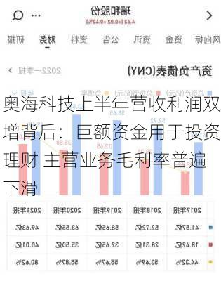 奥海科技上半年营收利润双增背后：巨额资金用于投资理财 主营业务毛利率普遍下滑