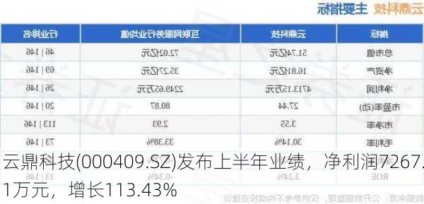 云鼎科技(000409.SZ)发布上半年业绩，净利润7267.1万元，增长113.43%