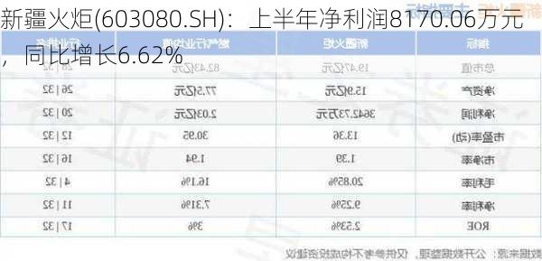 新疆火炬(603080.SH)：上半年净利润8170.06万元，同比增长6.62%