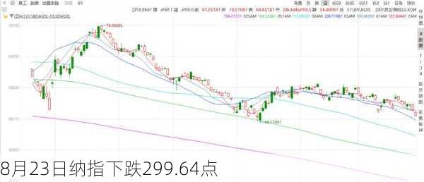 8月23日纳指下跌299.64点