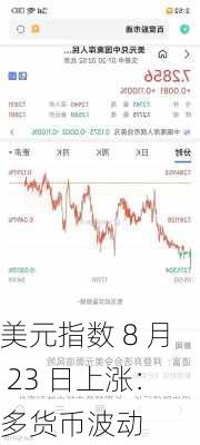 美元指数 8 月 23 日上涨：多货币波动