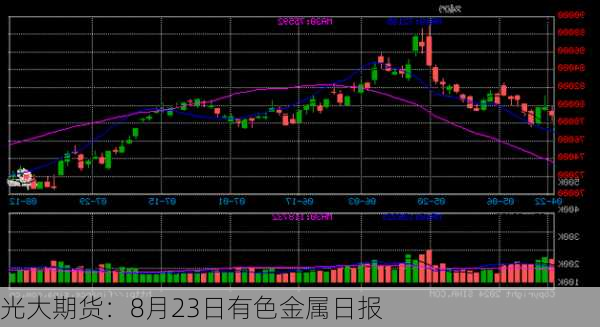 光大期货：8月23日有色金属日报