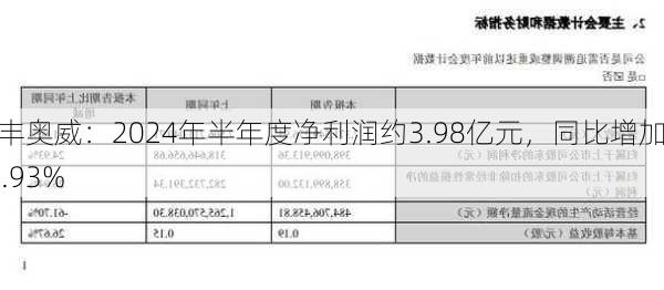 万丰奥威：2024年半年度净利润约3.98亿元，同比增加24.93%