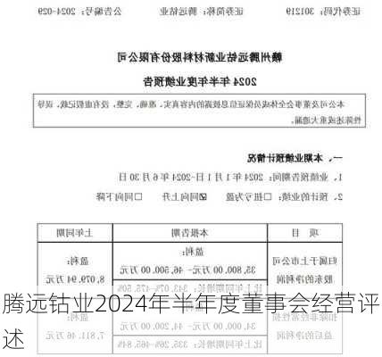 腾远钴业2024年半年度董事会经营评述