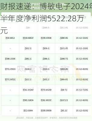 财报速递：博敏电子2024年半年度净利润5522.28万元