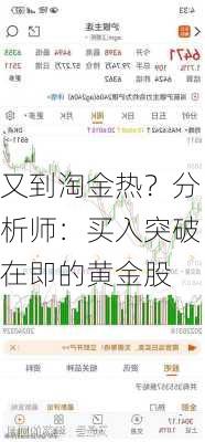 又到淘金热？分析师：买入突破在即的黄金股