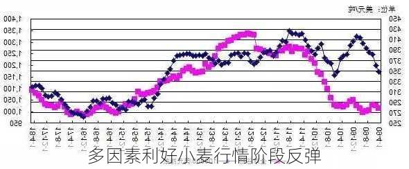 多因素利好小麦行情阶段反弹