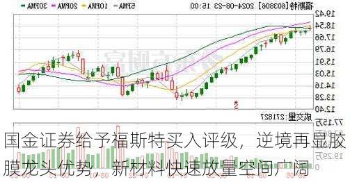 国金证券给予福斯特买入评级，逆境再显胶膜龙头优势，新材料快速放量空间广阔