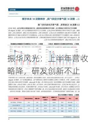 振华风光：上半年营收略降，研发创新不止