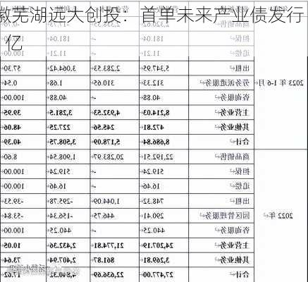 安徽芜湖远大创投：首单未来产业债发行 8.9 亿