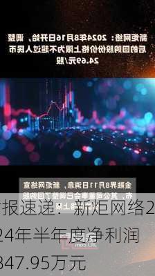 财报速递：新炬网络2024年半年度净利润1847.95万元