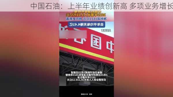 中国石油：上半年业绩创新高 多项业务增长