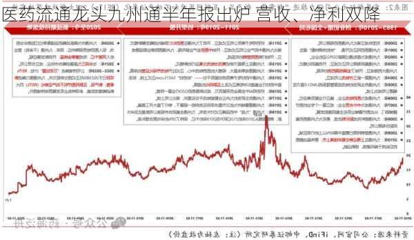 医药流通龙头九州通半年报出炉 营收、净利双降