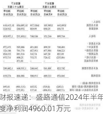 财报速递：盛路通信2024年半年度净利润4960.01万元