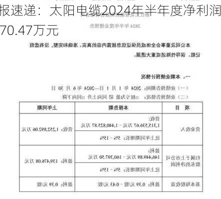 财报速递：太阳电缆2024年半年度净利润6270.47万元