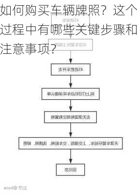 如何购买车辆牌照？这个过程中有哪些关键步骤和注意事项？