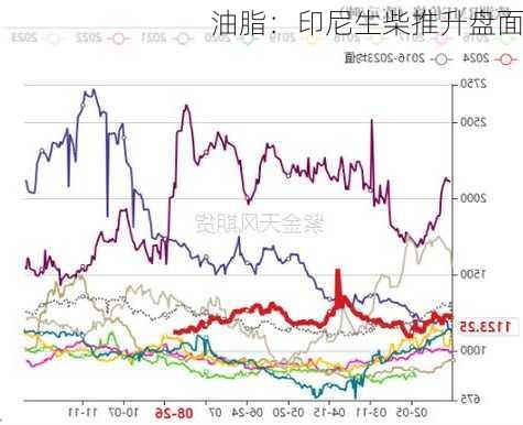 油脂：印尼生柴推升盘面