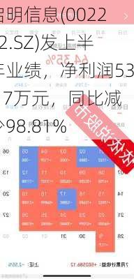 启明信息(002232.SZ)发上半年业绩，净利润53.17万元，同比减少98.81%