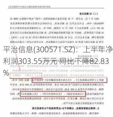 平治信息(300571.SZ)：上半年净利润303.55万元 同比下降82.83%