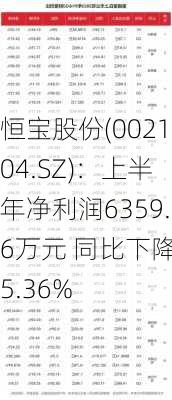 恒宝股份(002104.SZ)：上半年净利润6359.6万元 同比下降35.36%