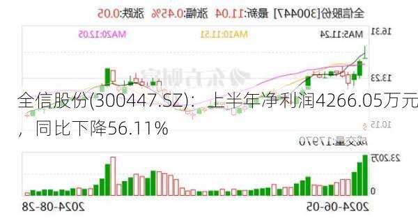 全信股份(300447.SZ)：上半年净利润4266.05万元，同比下降56.11%