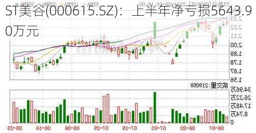 ST美谷(000615.SZ)：上半年净亏损5643.90万元