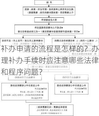 补办申请的流程是怎样的？办理补办手续时应注意哪些法律和程序问题？