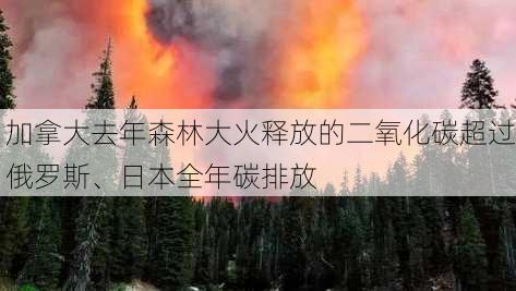 加拿大去年森林大火释放的二氧化碳超过俄罗斯、日本全年碳排放