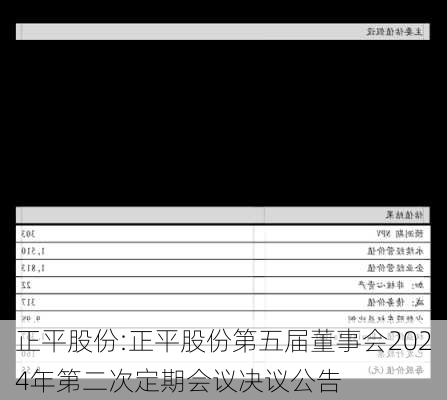 正平股份:正平股份第五届董事会2024年第二次定期会议决议公告