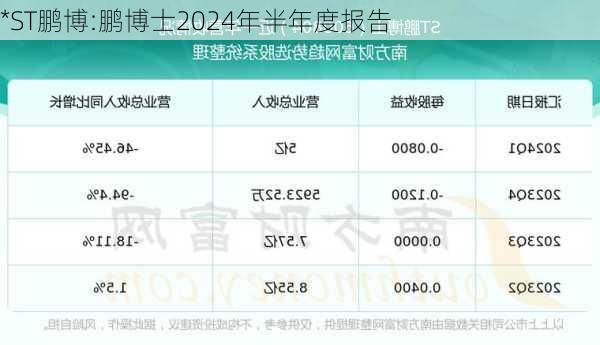 *ST鹏博:鹏博士2024年半年度报告