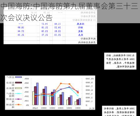 中国海防:中国海防第九届董事会第三十三次会议决议公告