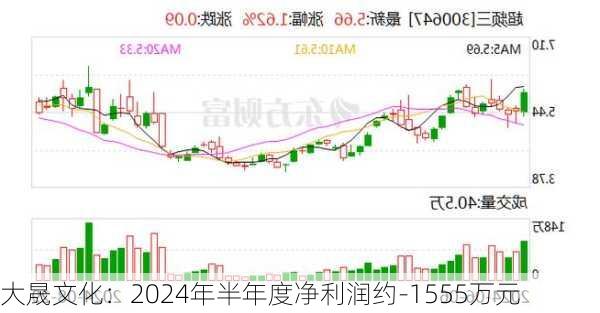 大晟文化：2024年半年度净利润约-1555万元