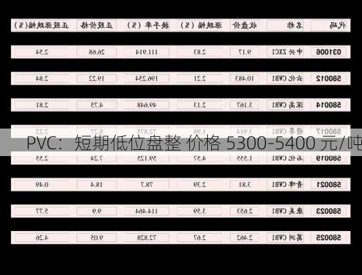 PVC：短期低位盘整 价格 5300-5400 元/吨