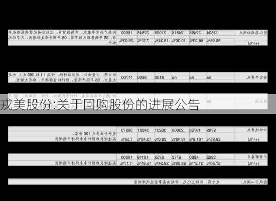 戎美股份:关于回购股份的进展公告