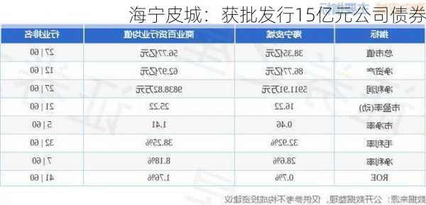 海宁皮城：获批发行15亿元公司债券