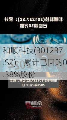 和顺科技(301237.SZ)：累计已回购0.38%股份