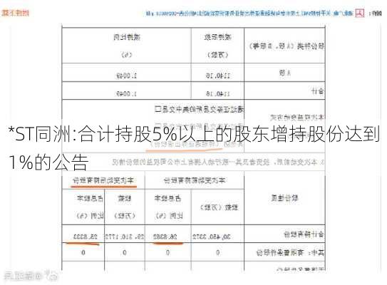 *ST同洲:合计持股5%以上的股东增持股份达到1%的公告