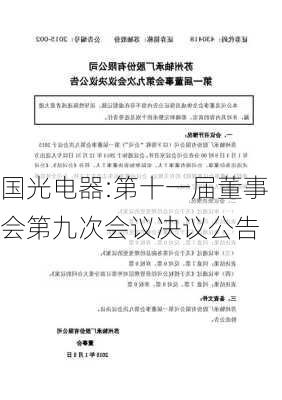 国光电器:第十一届董事会第九次会议决议公告