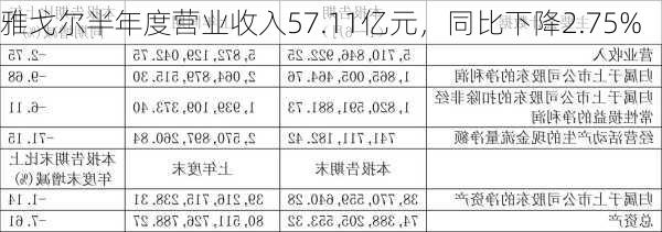 雅戈尔半年度营业收入57.11亿元，同比下降2.75%