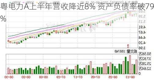 粤电力A上半年营收降近8% 资产负债率破79%