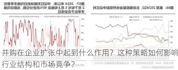 并购在企业扩张中起到什么作用？这种策略如何影响行业结构和市场竞争？