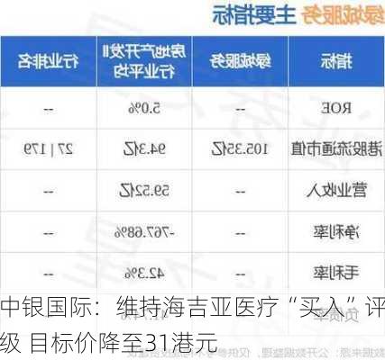 中银国际：维持海吉亚医疗“买入”评级 目标价降至31港元