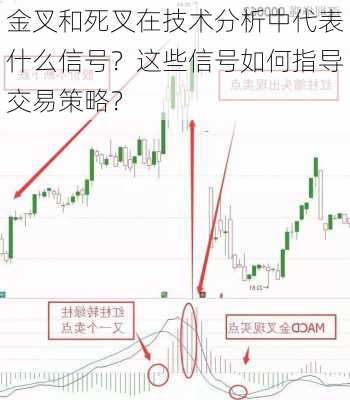 金叉和死叉在技术分析中代表什么信号？这些信号如何指导交易策略？