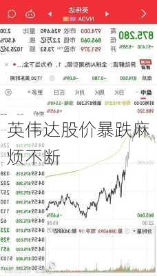 英伟达股价暴跌麻烦不断