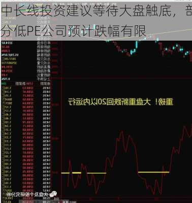 中长线投资建议等待大盘触底，部分低PE公司预计跌幅有限